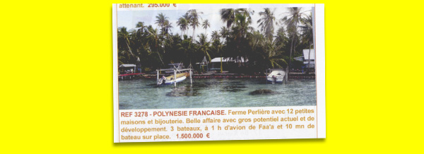 Inserat für eine Perlenfarm