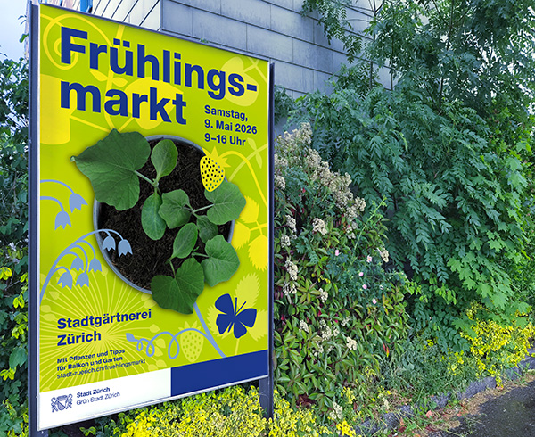 Infoflyer 100 Jahre 100 Jahre Stadion Letzigrund Plakat F4 für Frühlingsmarkt in der Stadtgärterei Zürich