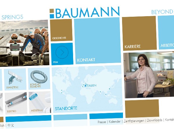 Website Baumann Springs Website Baumann Springs