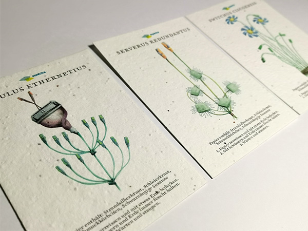 Kartenset: 3 Seedpapers A6 Kartenset: 3 Seedpapers A6